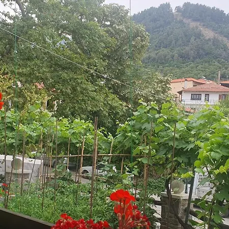 Relax Holistic House *