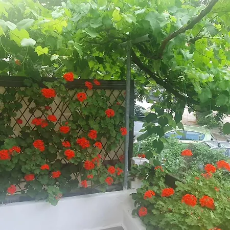 Relax Holistic House Villa Potamia (Thasos)